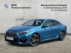 Niebieski snapper rocks metalizowany Używany 2020 BMW 218 Shadowline Coupe | 109 900 zł (Uczciwa cena)