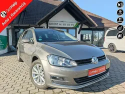Grafitowy (metalik) Używany 2016 VW Golf VII LOUNGE Kombi | 49 900 zł (Uczciwa cena)