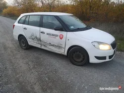 Używany 2011 Skoda Fabia | 9999 zł