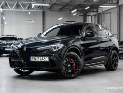 Czarny Używany 2021 Alfa Romeo Stelvio Quadrifoglio Verde SUV | 329 000 zł
