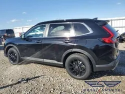 Inny kolor Nowe 2024 Honda CR-V SUV | 109 700 zł