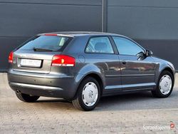 Szary Używany 2007 Audi A3 Premium Hatchback | 18 900 zł (Dość drogi)