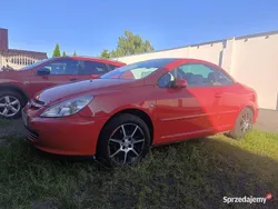 Czerwony Używany 2004 Peugeot 307 CC Kabriolet | 7500 zł