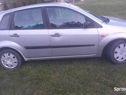 Srebrny Używany 2007 Ford Fiesta Hatchback | 2500 zł (Dobra cena)