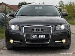 Szary Używany 2005 Audi A3 Hatchback | 9300 zł