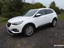 Biały Używany 2019 Opel Grandland X SUV | 63 900 zł (Uczciwa cena)
