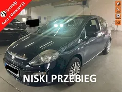 Niebieski Używany 2011 Fiat Punto Evo Hatchback | 13 800 zł (Uczciwa cena)