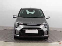Szary Nowe 2024 Kia Picanto Hatchback | 59 999 zł (Dość drogi)