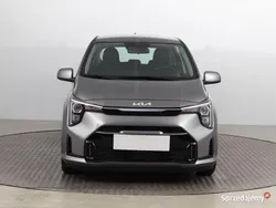 Szary Nowe 2024 Kia Picanto Hatchback | 61 999 zł (Dość drogi)