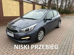 Szary (metalik) Używany 2016 Kia Ceed Hatchback | 36 900 zł (Dobra cena)