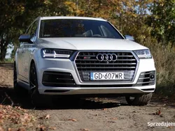 Biały Używany 2016 Audi SQ7 SUV | 163 000 zł