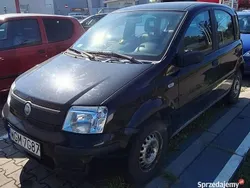 Używany 2006 Fiat Panda Hatchback | 3500 zł (Uczciwa cena)