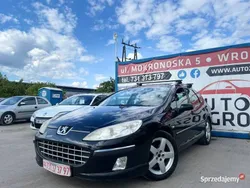 Używany 2005 Peugeot 407 | 4490 zł (Dobra cena)