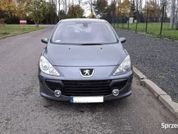 Szary Używany 2005 Peugeot 307 Hatchback | 6900 zł (Uczciwa cena)