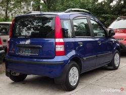 Niebieski Używany 2010 Fiat Panda Hatchback | 16 100 zł (Dość drogi)