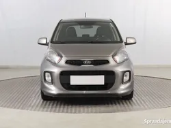 Szary Używany 2015 Kia Picanto Hatchback | 23 999 zł (Uczciwa cena)