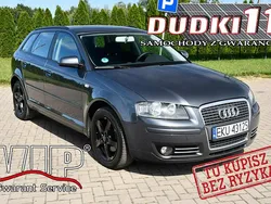 Szary Używany 2007 Audi A3 Hatchback | 17 900 zł (Uczciwa cena)