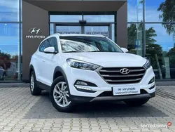 Biały Używany 2017 Hyundai Tucson Comfort SUV | 64 900 zł (Dobra cena)