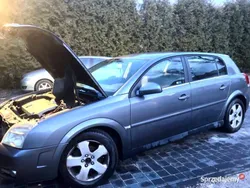 Używany 2004 Opel Signum Kombi | 4250 zł