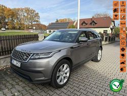 Brązowy Używany 2019 Land Rover Range Rover Velar SUV | 99 000 zł