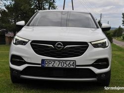 Używany 2019 Opel Grandland X SUV | 59 900 zł (Dobra cena)