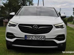 Używany 2019 Opel Grandland X SUV | 59 900 zł (Super Cena)