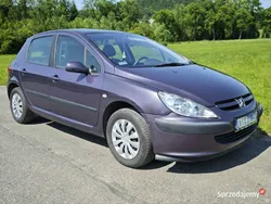 Fioletowy Używany 2002 Peugeot 307 Hatchback | 4200 zł (Uczciwa cena)