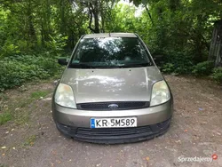 Złoty Używany 2004 Ford Fiesta Hatchback | 4000 zł (Uczciwa cena)