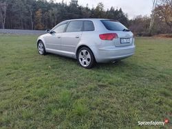 Używany 2007 Audi A3 | 12 900 zł