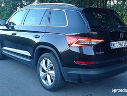 Używany 2017 Skoda Kodiaq SUV | 89 000 zł (Uczciwa cena)