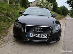 Używany 2008 Audi A3 | 19 700 zł (Dość drogi)