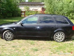 Używany 2004 Audi A6 | 7800 zł (Dość drogi)