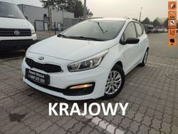 Biały (metalik) Używany 2016 Kia Ceed 2 Hatchback | 44 900 zł (Dość drogi)