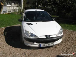 Używany 2003 Peugeot 206 | 3500 zł (Uczciwa cena)