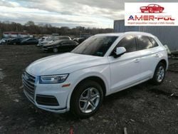 Biały Używany 2019 Audi Q5 Premium SUV | 128 000 zł