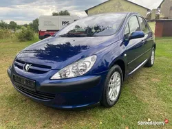 Niebieski Używany 2002 Peugeot 307 Hatchback | 7990 zł (Dość drogi)