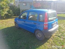 Niebieski Używany 2003 Fiat Panda Hatchback | 2300 zł (Uczciwa cena)