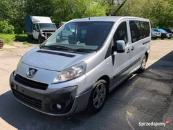 Używany 2010 Peugeot Expert Van | 9999 zł (Uczciwa cena)