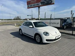 VW Beetle