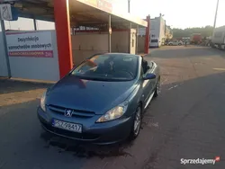 Używany 2003 Peugeot 307 Kabriolet | 8000 zł (Uczciwa cena)