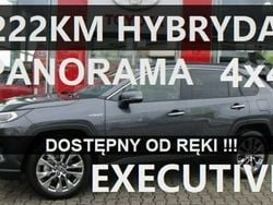 Szary Używany 2023 Toyota RAV4 Hybrid Skyview Edition SUV | 209 500 zł (Drogi)