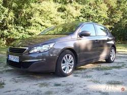 Używany 2013 Peugeot 308 Active | 32 900 zł (Drogi)
