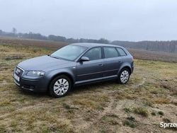 Grafitowy Używany 2005 Audi A3 Hatchback | 16 500 zł (Uczciwa cena)