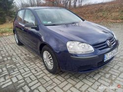 Niebieski Używany 2007 VW Golf V Hatchback | 14 500 zł (Uczciwa cena)