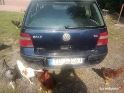 Granatowy Używany 2002 VW Golf IV | 2500 zł