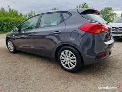 Szary Używany 2015 Kia Ceed 4 Hatchback | 29 900 zł (Uczciwa cena)