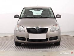 Beżowy Używany 2008 Skoda Fabia Kombi | 6999 zł (Dobra cena)