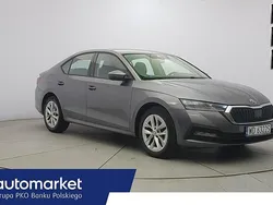 Szary Używany 2022 Skoda Octavia Kombi | 64 850 zł (Dobra cena)