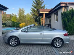 Używany 2005 Peugeot 307 | 10 999 zł (Drogi)