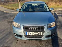 Używany 2005 Audi A3 | 15 000 zł (Dość drogi)